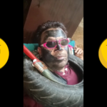 Main Barbaad Ho Gayea Meme | MCD Demolition Meme