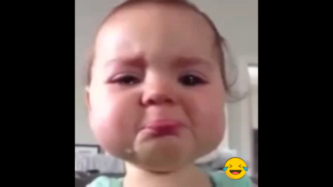 Meme Download